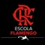 Escudo de Flamengo SUB10