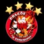 Escudo de EC DRAGÕES
