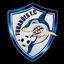 Escudo de TUBARÕES FC