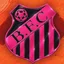 Escudo de BARRIGUDA