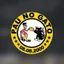 Escudo de Pau No Gato