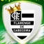 Escudo de FLAMENGO Sub 11