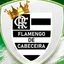 Escudo de FLAMENGO Sub 13