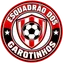 Escudo de ESQUADRÃO DOS GAROTINHOS
