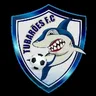 Escudo de TUBARÕES FC