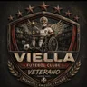 Escudo de VIELLA