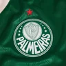 Escudo de Junior