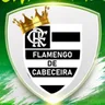 Escudo de FLAMENGO Sub 11