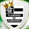 Escudo de FLAMENGO Sub 13