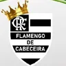 Escudo de FLAMENGO 17