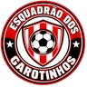 Escudo de ESQUADRÃO DOS GAROTINHOS