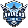 Escudo de Copa da Vila Sub10