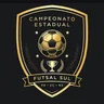 Escudo de Campeonato Estadual Do Sul